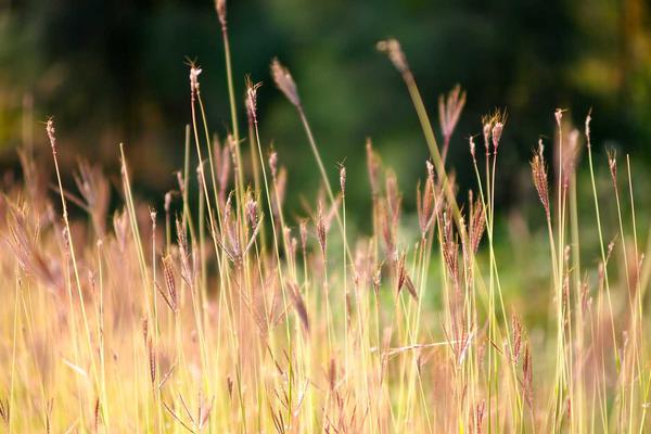 Instructor guiding student